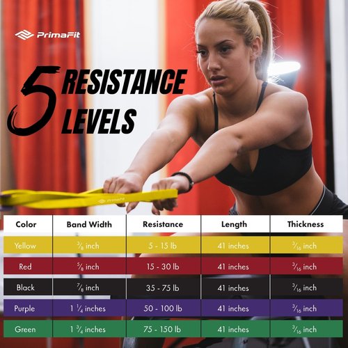 PrimaFit Resistance Bands for Working Out, Exercise Bands Resistance, Pull Up Assistance Bands, Workout Bands, Weights Dumbbell Set Alternative, Stretching, Gym Bands, Men Women