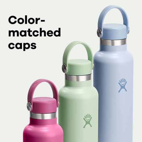 Hydro Flask Water Bottle - Insulated Stainless Steel - Non Spill, Leakproof in 21 Oz Birch Gray