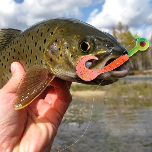 Ghanneey 150Pcs Fishing Soft Lures Kit Set with Jig Heads Hooks Kit Soft Plastic Grubs and Crappie Jig Fishing Hooks for Bass Trout Saltwater and Freshwater