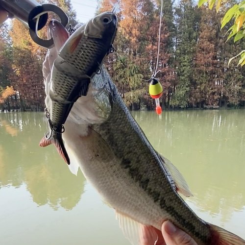 Robotic Swimming Lure 5.1” Fishing Lure 4-Segement Multi Jointed Swimbait Electric Bait LED Light USB Rechargeable Robotic Lure for Bass Trout Pike Fishing Tackle (Color T620#)