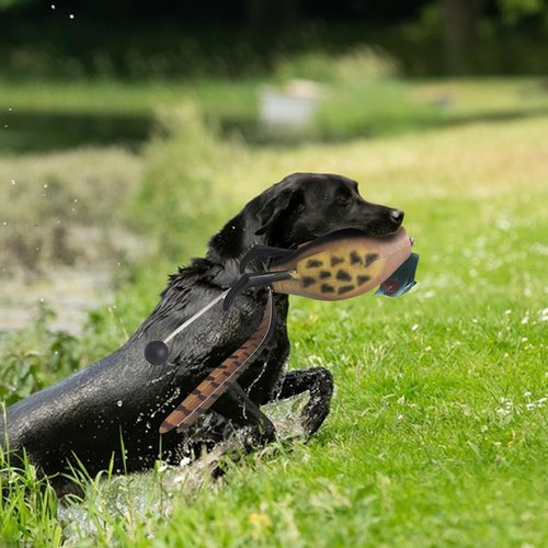 SYWAN Duck Dog Training, Pheasant Dog Training Dummies for Dog Training Hunting Dog Accessories Dogs Training Dummy Bumper Retriever Floating De-ad Bird Fowl Trainer Hunting Retriever (Pheasant)