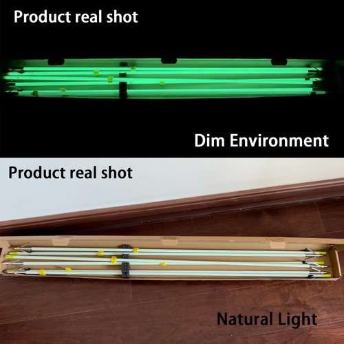 LEANPRO 6 Pack Bowfishing Arrows 32 inch with Broadheads & Safty Slides Luminous Bow Fishing Arrows for Compound Bow Recurve Bow Fishing Hunting (02)