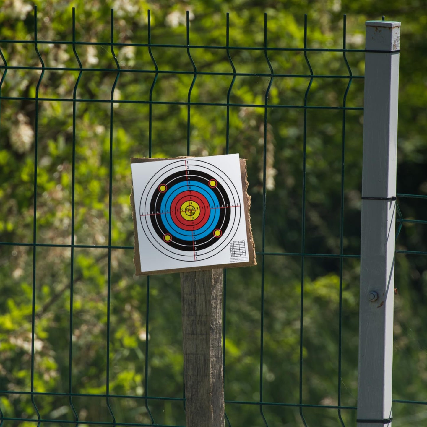 Fainne 200 Sheets Paper Shooting Range Targets for Pistol 12 x 12 Inch High Visibility Target Paper Bulk for Hunting Accessories Indoor Outdoor Shooting Practice(Circular)