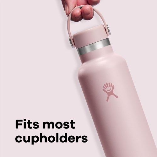 Hydro Flask Water Bottle - Insulated Stainless Steel - Non Spill, Leakproof in 21 Oz Birch Gray