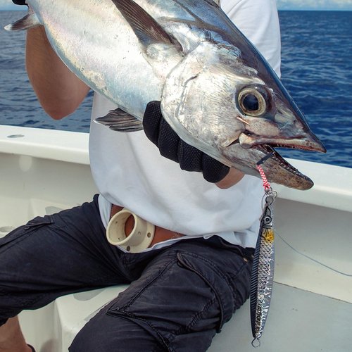Goture Fishing Jigs Saltwater 200g with Assist Hook, Glow Vertical Jigs, Speed Fast Lead Jig Sea Fishing Jigging Spoon Lures for Tuna, Salmon, Sailfish, Striped bass, Grouper Snapper, Kingfish