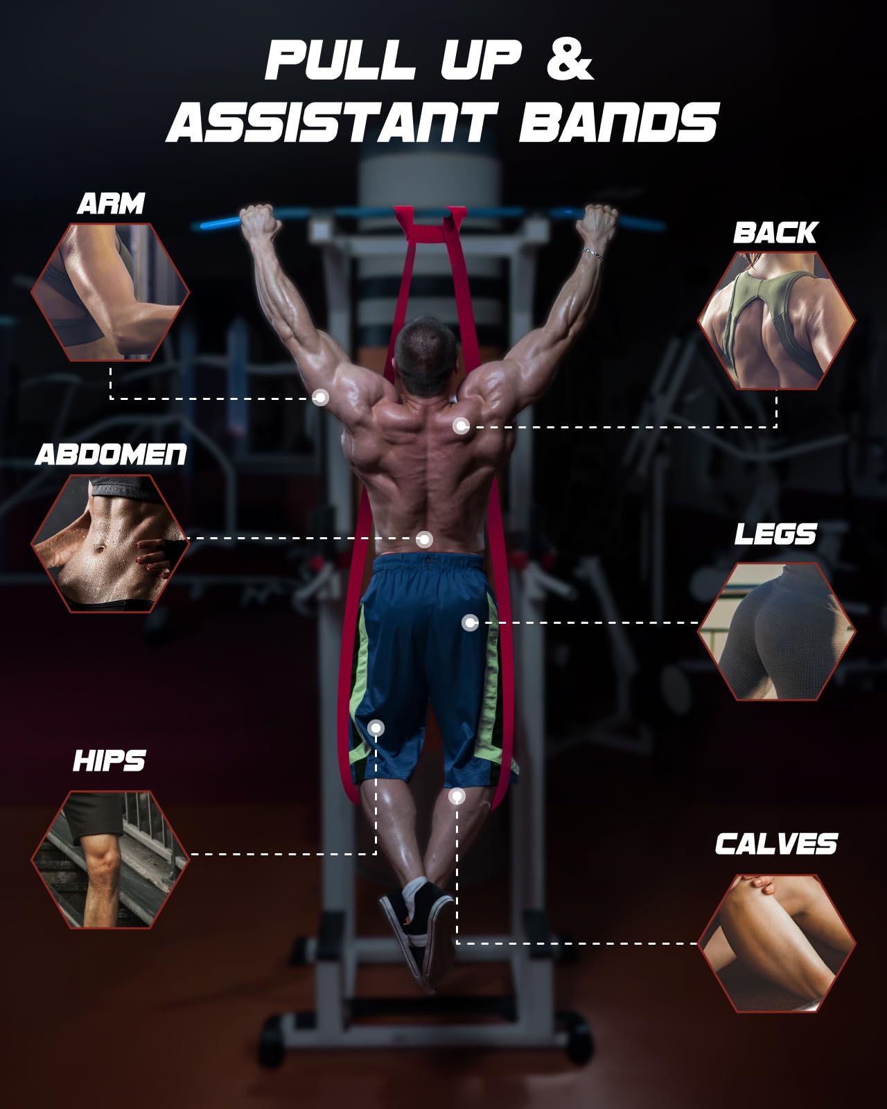 Fitense Resistance Bands Set 6PSC & 4PCS - Pull Up Bands 15-170 LBS & 5-80LBS for Men Women, Exercise Bands Resistance with Door Anchor, Training Poster & Pouch for Body Stretching, Pull Up Assist