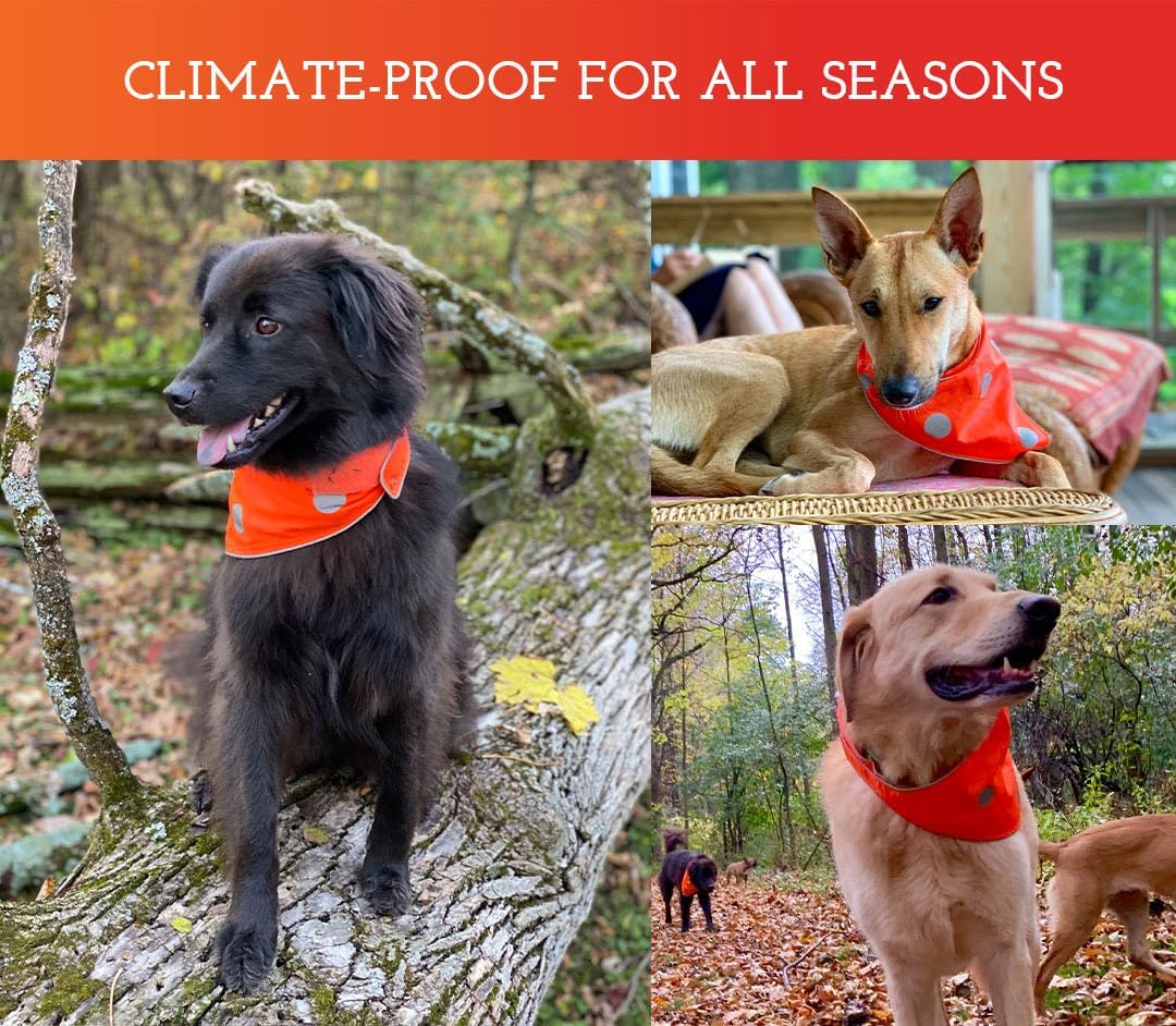 Reflective Dog Bandanas - High Visibility Safety Accessories for Small & Large Dogs (Blaze Orange, M-L)