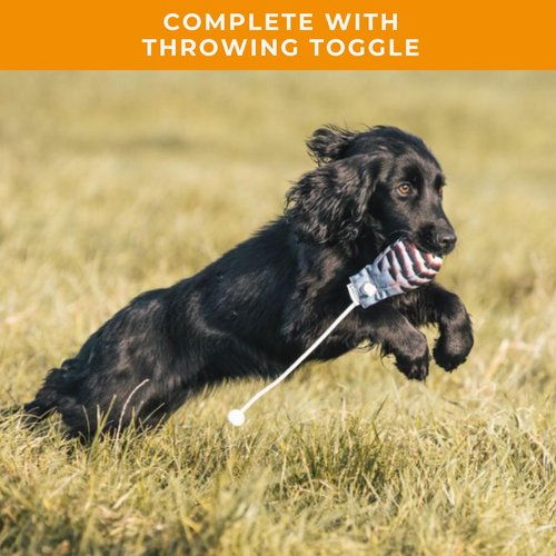 The Original Clone® Realistic Game Bird Dog Training Dummies - Pheasant, Partridge & Snipe Gundog Training Dummy (Cock Pheasant Dead Bird Dummy)