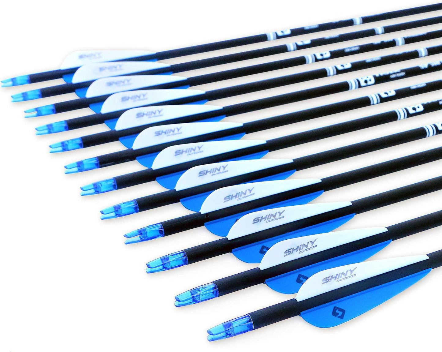 30Inch Carbon Arrow Practice Hunting Arrows with Removable Tips for Compound & Recurve Bow(Pack of 12)