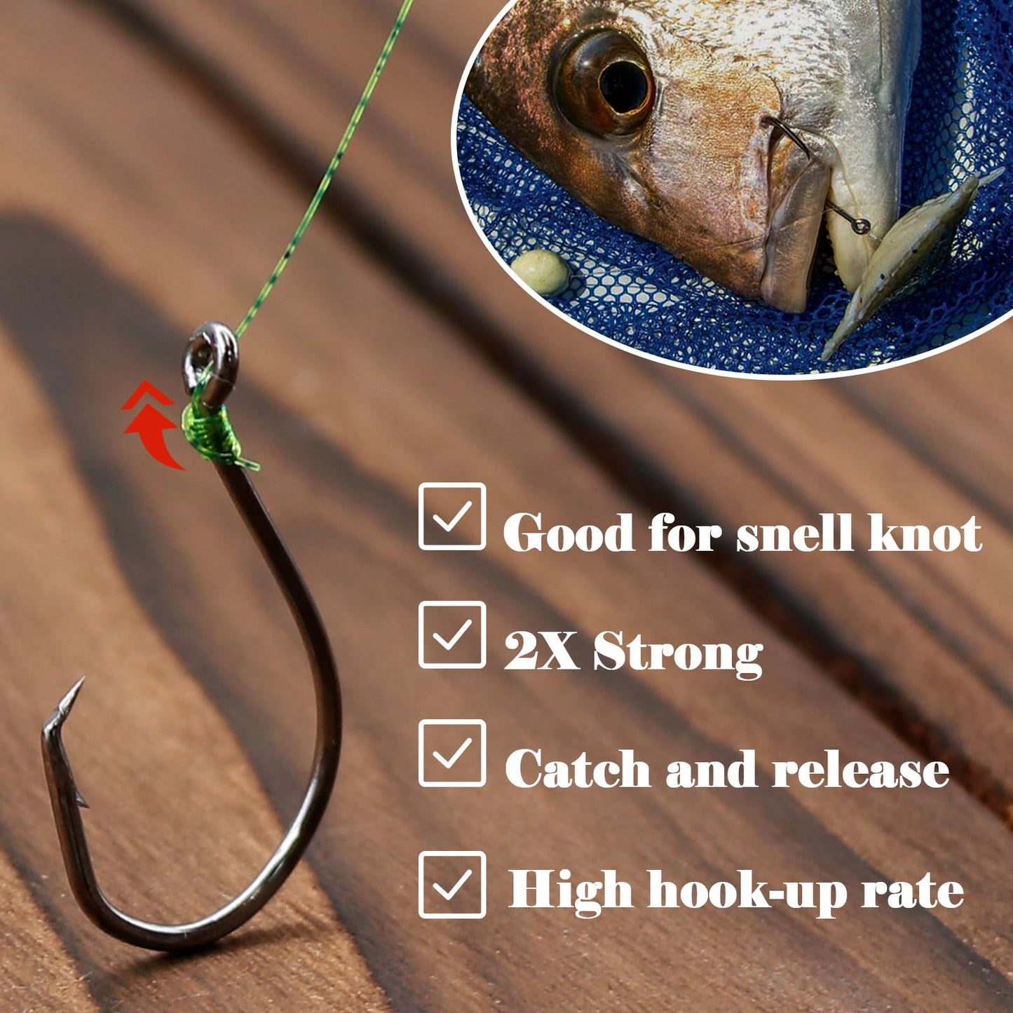 FishTrip Octopus Circle Hooks Saltwater - 50pcs Fishing Catfish Hook,Offset Fish Hooks for Rigs Size 1 2 4 6 1/0 2/0 3/0 4/0 5/0 6/0 7/0 8/0 9/0 10/0 (1#_50pcs)