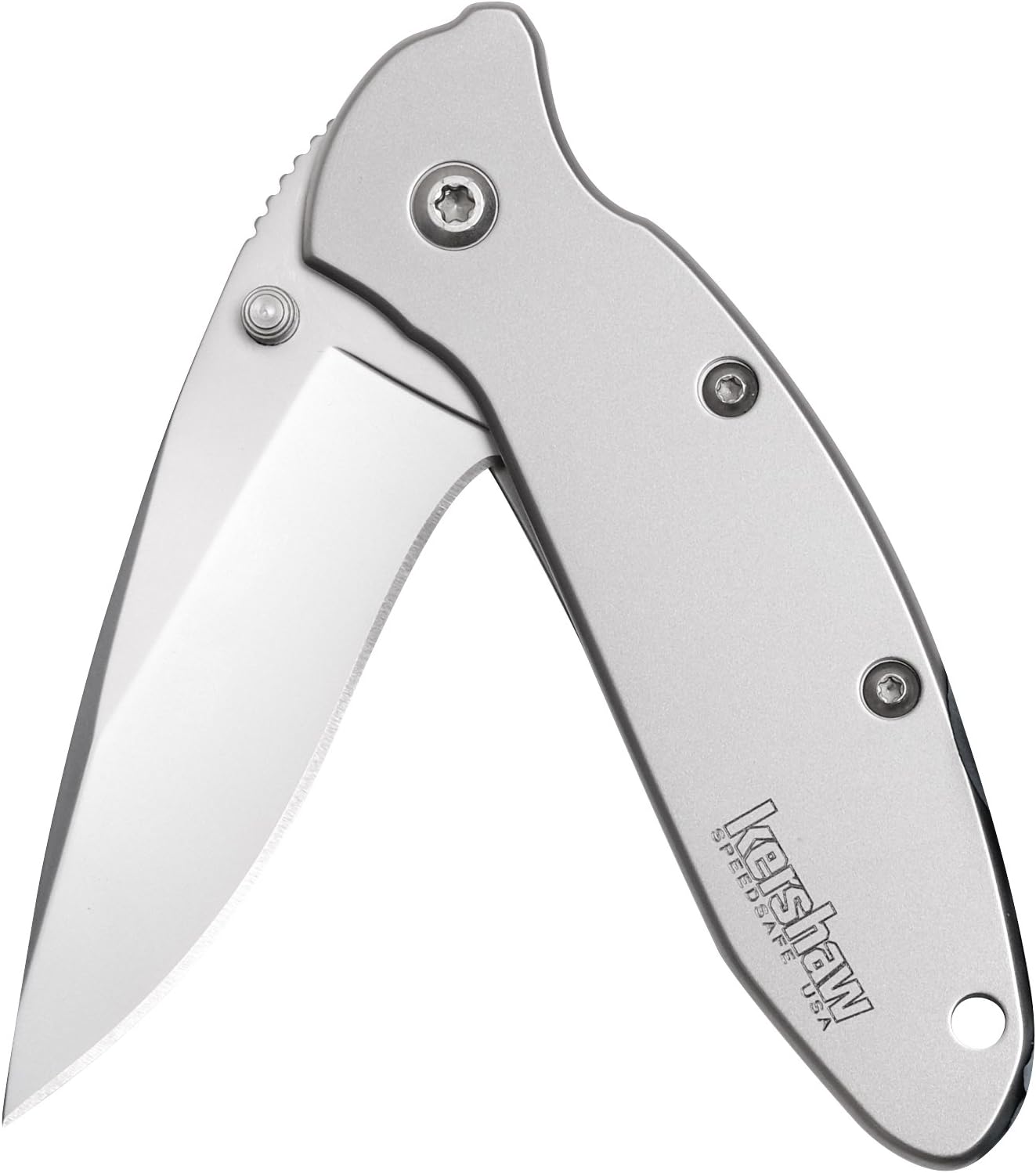 Kershaw Chive Pocket Knife, 1.9 Inch 420HC Steel Blade, Speedsafe Assisted Opening, Made in the USA, (1600)