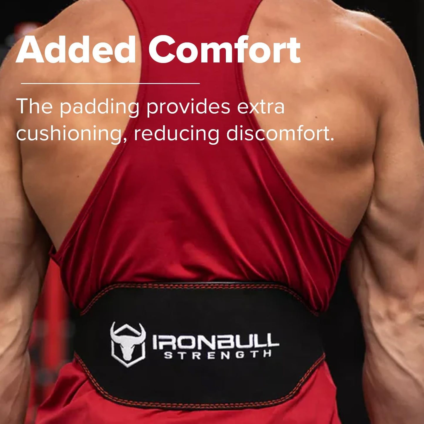 Weight Lifting Belt - 6-inch Padded Leather Weight Belt - Heavy Duty And Comfortable Back Support For Heavy Weightlifting and Fitness