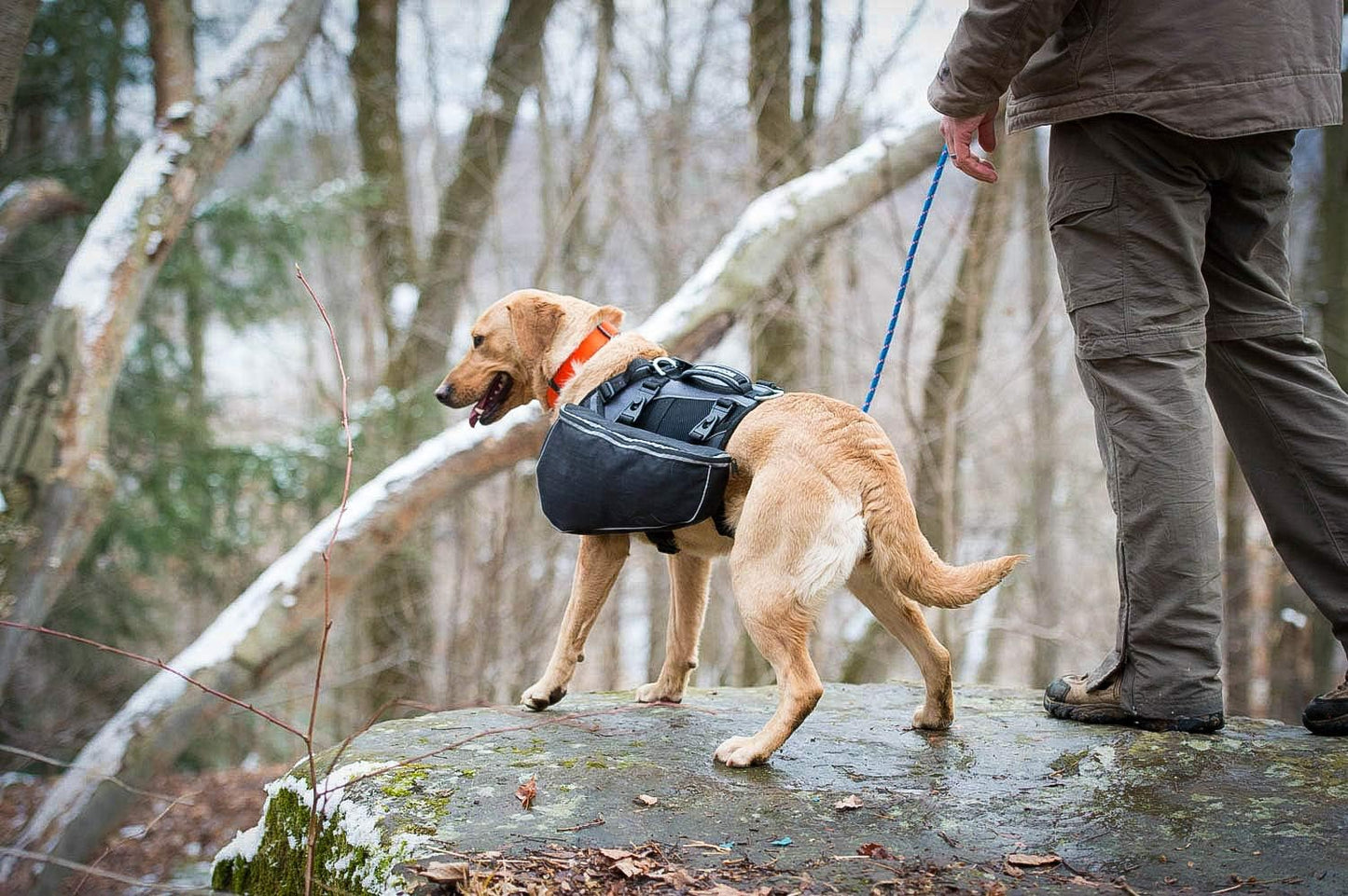 Adventure Pack, Black/Orange, Medium