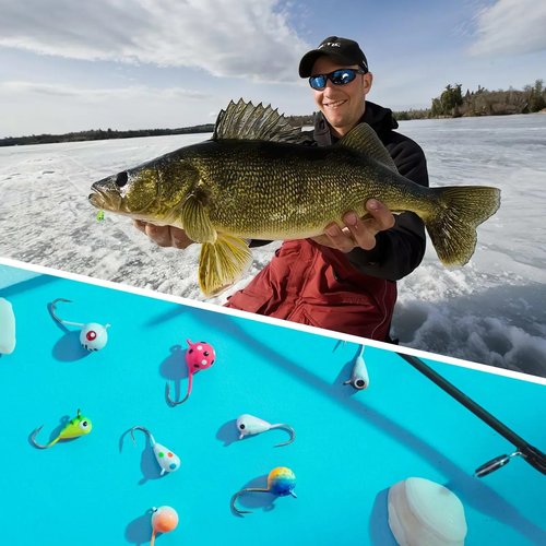 Tungsten 4 Anglers 97% Pure Tungsten Ice Fishing Jigs 5mm 1/16oz #12| Tear Drop Fishing Lures for Winter Ice Jigging, 5-Pack (Assorted)