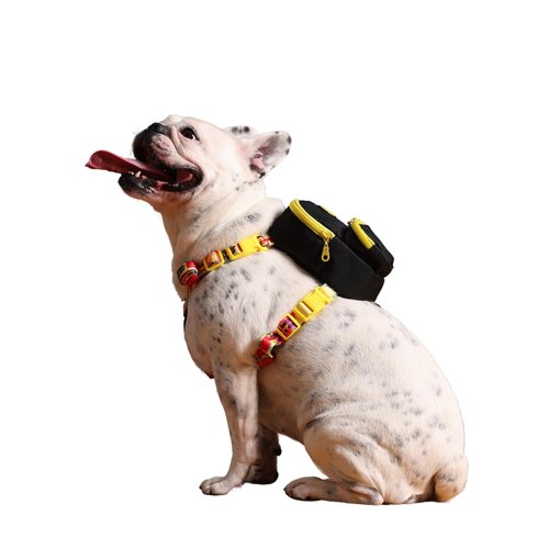 PawLook Dog Backpack to Wear with Chest Harness Self Carrier dogbag with Additional Pocket for Poop Bag Anti Slip Stylish Dog Bag for Your pet Gimme Five Serie Black Small