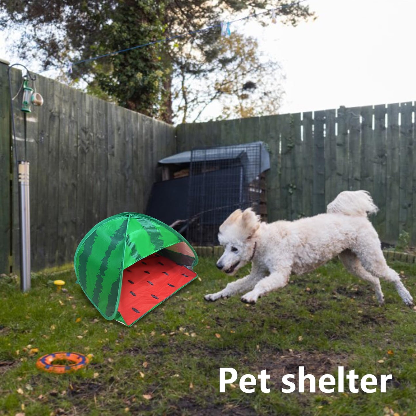 HACRAHO Dog Beach Tent Sun Shelter, 1 Pack Watermelon Portable Automatic Pop-up Sun Shelter Tent Instant Sun Shade Canopy for Puppy Small Pets, L