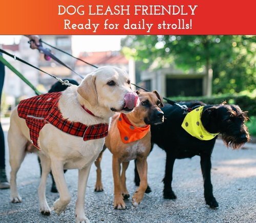 High Visibility Reflective Dog Vest - Easy Fastening, Orange, Sizes XS-XXL