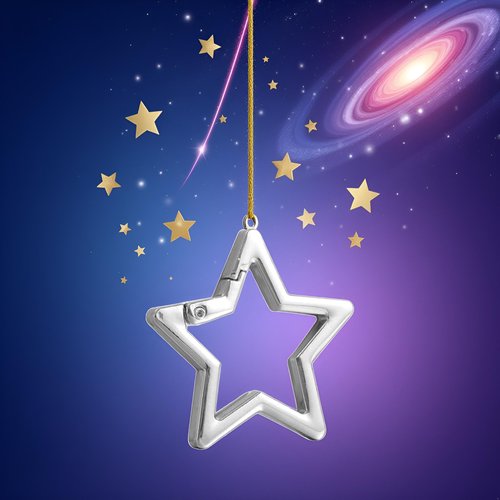 Star Shaped Stainless Steel Keychain Clip,Small Carabiner Snap Hook Holder Hook Clip Locking Carabiner, Key Holder Carabiners for Keys and Wallet Accessory with Key Chain Rings
