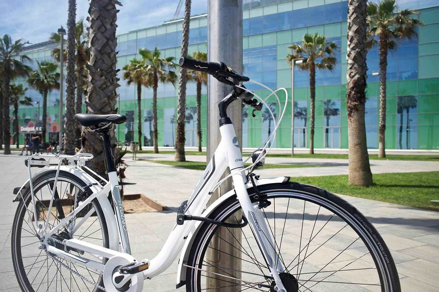 Abus 6 Series Armored Cable Lock - Tresorflex Combo Security Lock for Bikes