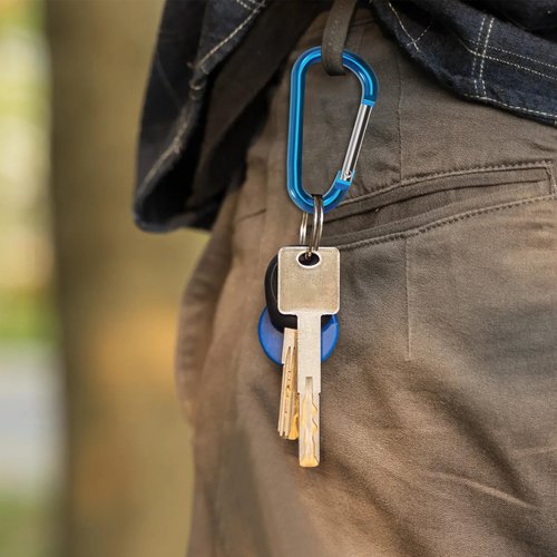 Zalava Aluminum Carabiner Clip D Ring, 24PC Keychain Clips Spring Snap Hook,Small Carabiners Set for Outdoor Camping Fishing Hiking Car Keychain