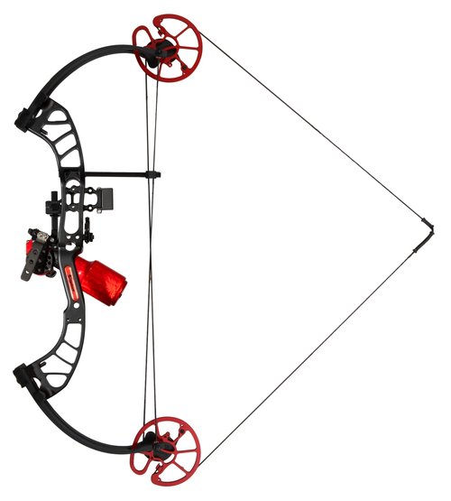 Cajun Bowfishing Shore Runner EVW Bowfishing Bow with Winch Pro Reel