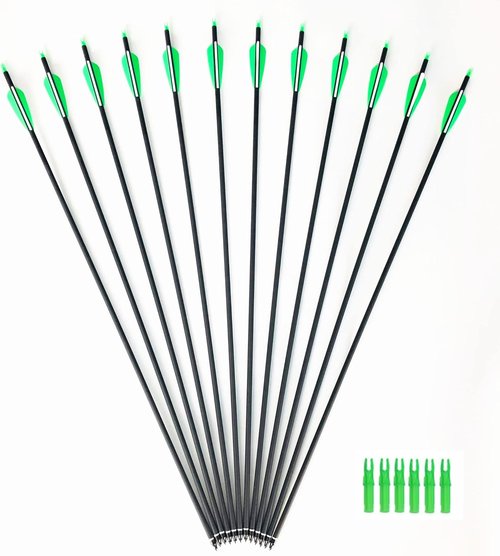 GPP Archery Carbon 30-Inch Targeting/Hunting Arrows Field Points Replaceable Tips for Recuve Bow & Compound Bow