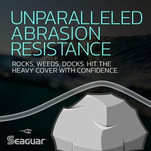Seaguar Red Label 100% Fluorocarbon Fishing Line 17lbs, 200yds Break Strength/Length - 17RM200
