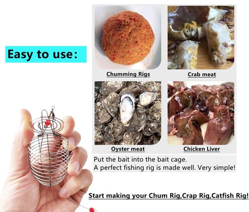 Drchoer Carp Fishing Bait Cage: 10-Piece Stainless Steel Carp Rig Feeder - Catfish Bait Holder Fishing Rig Attachment (Transparent Line Leader(1mm), Medium)