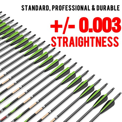 sanlida 24 PCs, 100% Pure Carbon, 0.003'' Straightness, Dragon 9 Flagship 24T Carbon Hunting Arrows for Compound Bow, Professional Standard Hunting Arrows with Removable Tips (350 Spine)