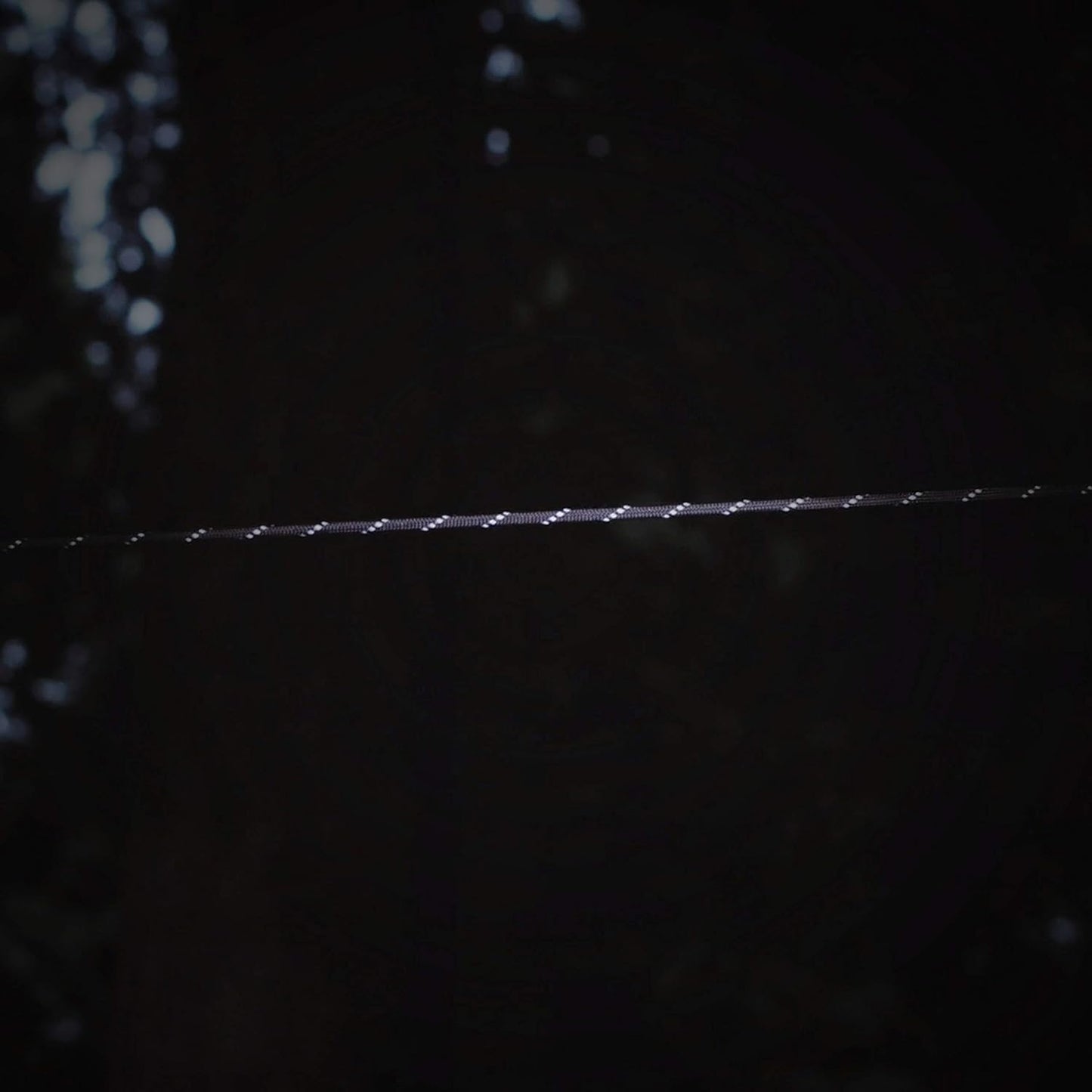 Gear AID 550 Paracord and Carabiner, 7 Strand Utility Cord for Camping and Survival