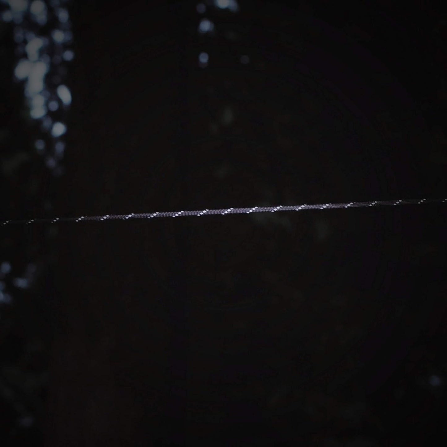 Gear AID 550 Paracord and Carabiner, 7 Strand Utility Cord for Camping and Survival