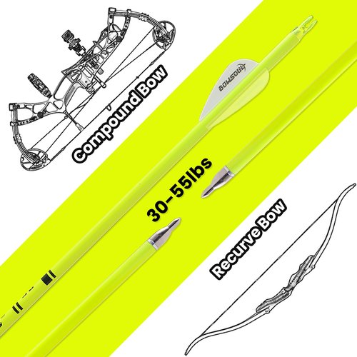 BOWSOUL Carbon Arrow Archery 30inch Bright Colors Hunting Target Practice Arrows for Compound & Recurve Bow Spine 500 with Removable Tips (Pack of 12) (Bright Yellow)