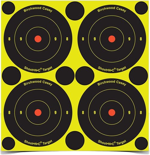 Birchwood Casey 12" Eze-Scorer Bull's-Eye Practice Shoot-Up Brilliant White Paper Targets for Indoor and Outdoor Use, 13 Targets