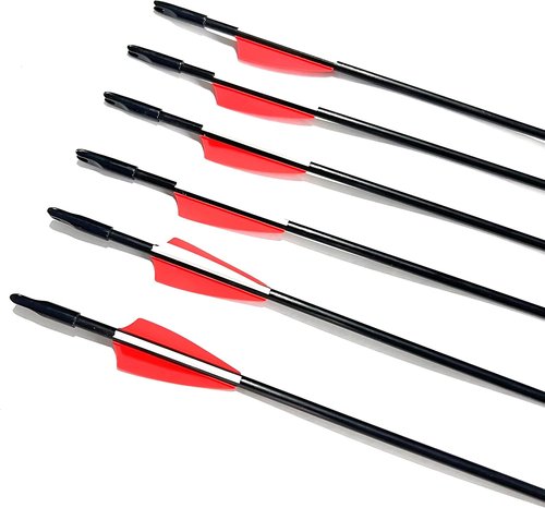 GPP Archery Beginner's First Arrows (30" Fiberglass Target Archery Arrows) - 12 Pack