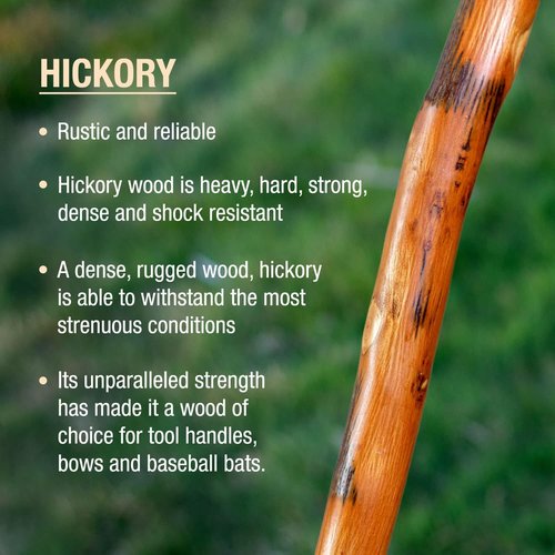 Brazos Rustic Wood Walking Stick, Hickory, Traditional Safari Style Handle, for Men & Women, Made in The USA