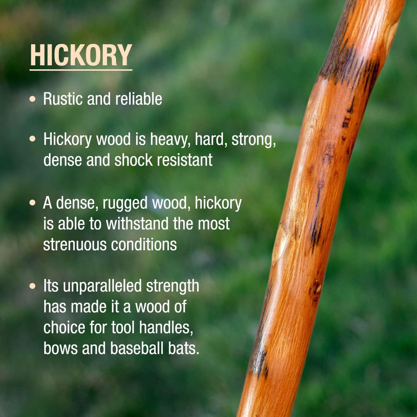 Rustic Hickory Walking Stick with Safari Handle - Handmade in the USA for Men & Women
