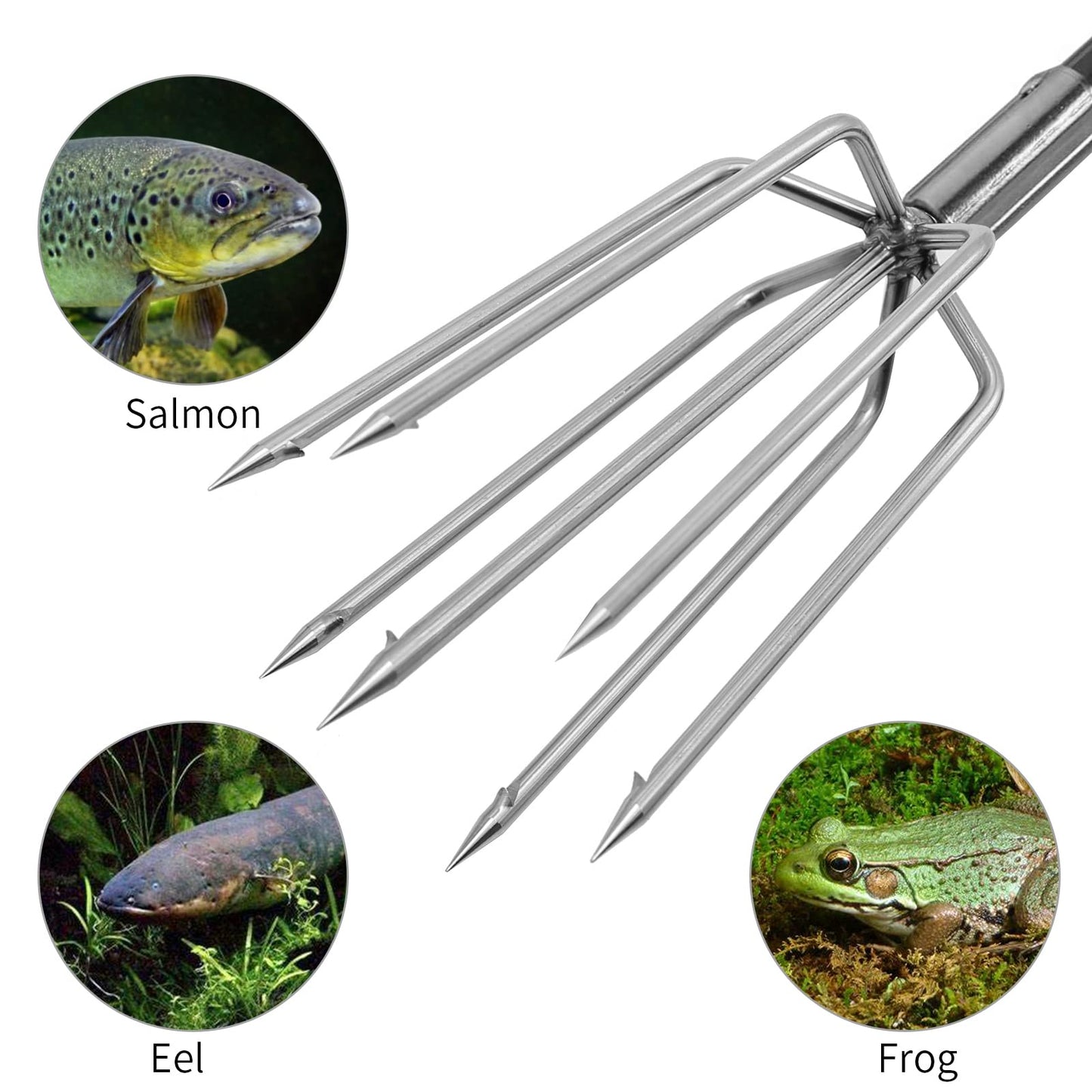 EATAKWARD 7-Prong Fishing Harpoon, Stainless Steel Fishing Spear Gig Gaff Fork Hook with 8mm Screw, for Catching Fishes Frogs in Pond River Lake etc. Capable for Fishing Pole