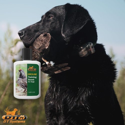 DT Systems Super Pro Series Training Scents, Natural Real Concentrated Hunting Retriever Dog Field Game Trailing Scent Training Aid for Puppies, Adult & Senior Dogs, 1.25 oz