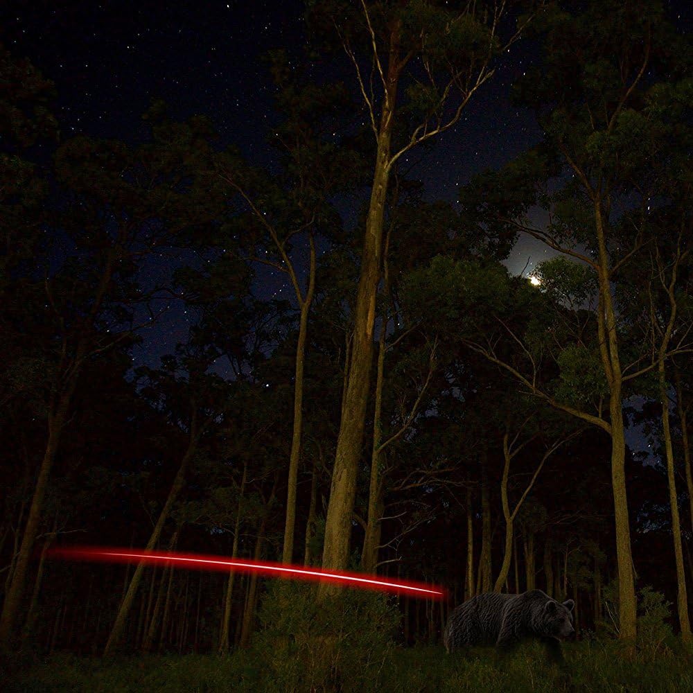 S Lighted Nocks for Arrows with .244 Light up Knocks Turn on Automatically When Shoot 6-Pack