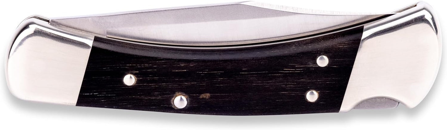 Buck Knives 110 Folding Hunter Lock-back Knife, Brass Bolsters, Ebony Handles, 3-3/4" 420HC Blade with Leather Sheath