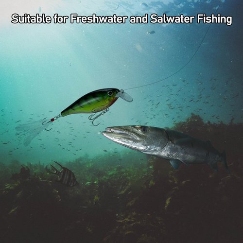 Dr.Fish 30 Pack Fishing Treble Hooks, #14-#6/0, Freshwater & Saltwater, Triple Fishing Hooks for Walleye Catfish Bass Fishing Replacment #14