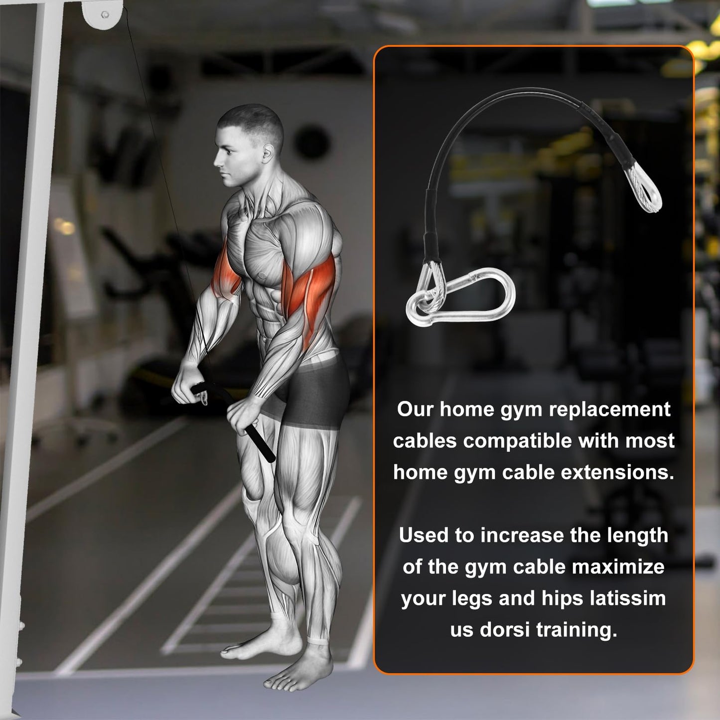 GGTE 10" Gym Extension Cable Compatible with Bowflex Home Gym for LAT/Tricep Pull Down and Leg Extensions Machine -Extend Your Workout Angles(1 Pair)