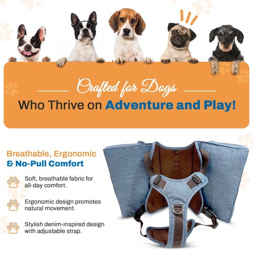 Snickany & Co. Dog Backpack Harness for Medium & Large Dogs, Heavy Duty Tactical Pet Backpack for Dogs with 4 Large Pockets for Hiking Walking Training Running, Blue