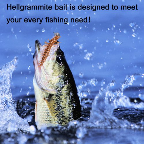 Eupheng 2"/3" Hellgrammite Fishing Lures, Super Realistic Soft Plastic Fishing Lures for Ned Jig Drop Shot Rig, Qty 20Pack/12Pack