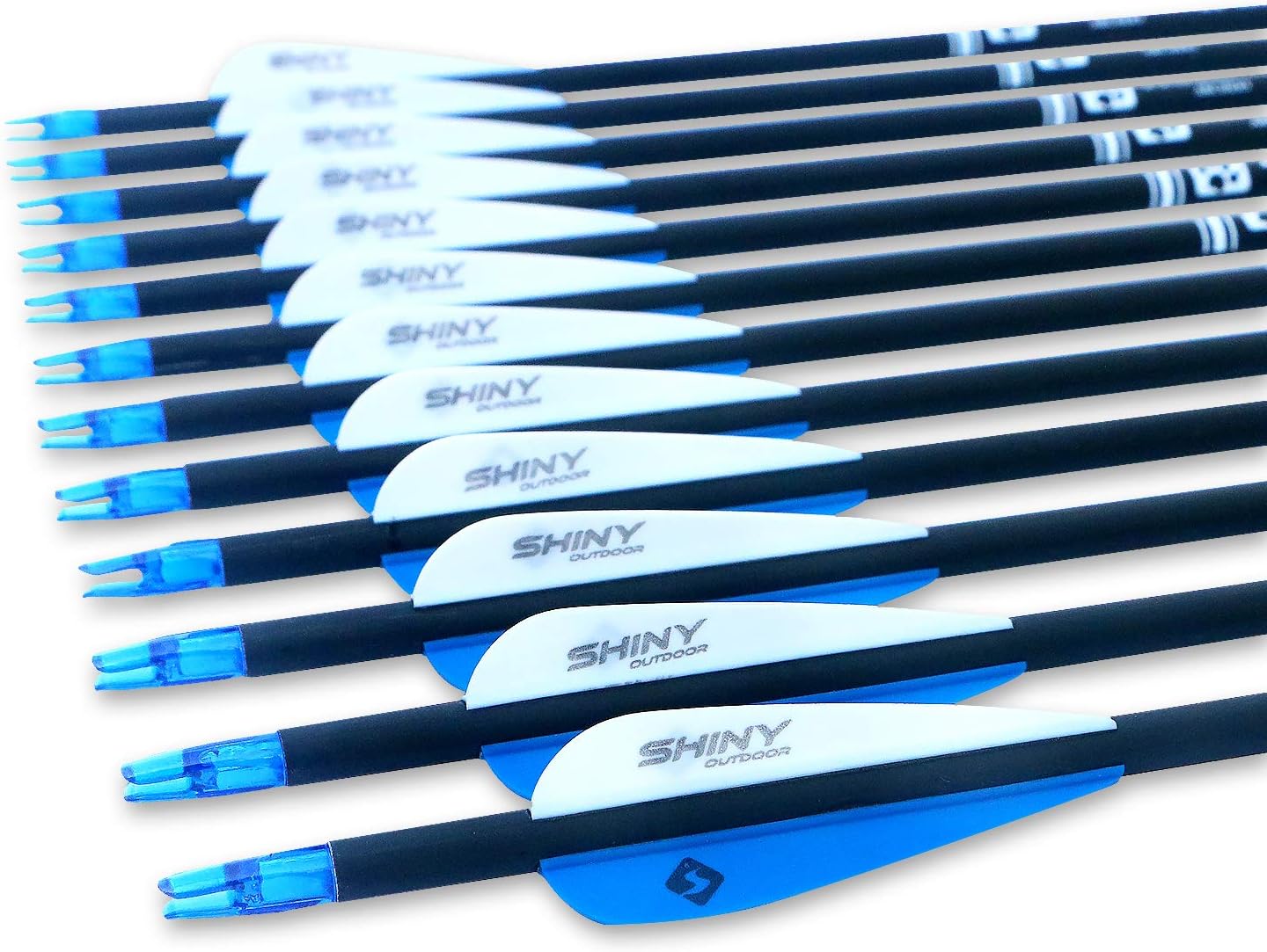 30Inch Carbon Arrow Practice Hunting Arrows with Removable Tips for Compound & Recurve Bow(Pack of 12)