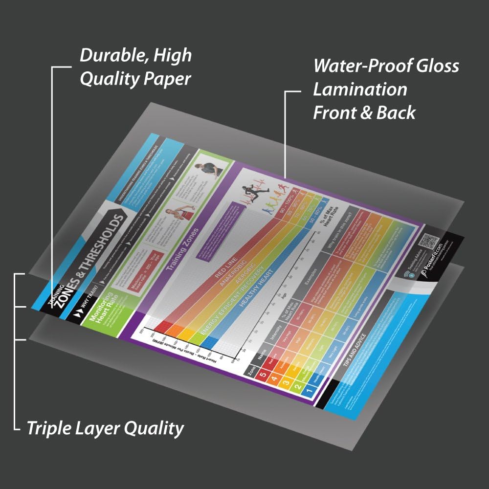 Posterfit Training Zones & Thresholds Poster - EXTRA LARGE - 33 x 23.5 - Laminated - Home & Gym Poster - Includes Online Video Training Support - Exercise Charts