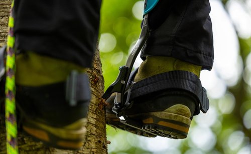 Notch Steel Climbers Ergonomic Pole Gaffs 20+ Cuff Adjustment Points, Stirrup Grip Pad, Dual Foot Strap Assembly, Redesigned Cuff, 350 lbs. Total Weight Limit (99695P)
