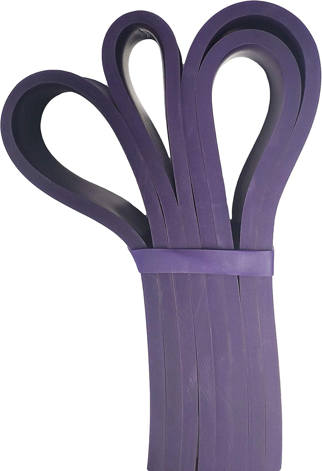 Fit Active Sports Resistance Workout Exercise Bands for Home, Gym, Stretching, Strength Training, Weightlifting, Pull Up Assist - Indoor and Outdoor Use