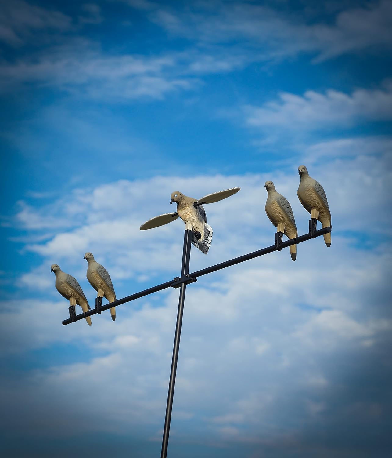 MOJO Outdoors Dove Hunting Decoys and Accessories – (Choose Style)