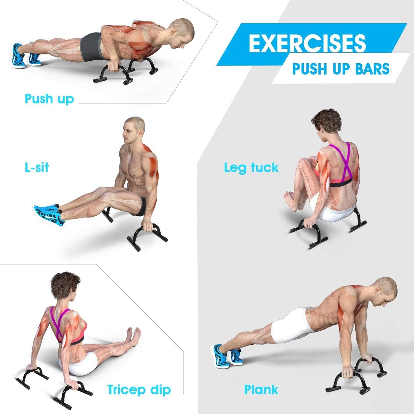 Push Up Bar Strength Training - Home Gym Exercise Equipment Push-up Stands with Cushioned Foam Grip Handles Non-Slip Sturdy Structure - Floor Workouts Fitness Calisthenics for Men Women